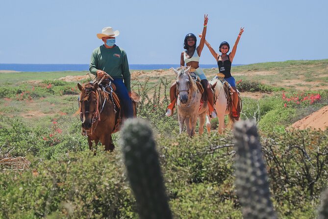 Horseback Riding Beach and Desert in Cabo - Key Highlights You Should Care About