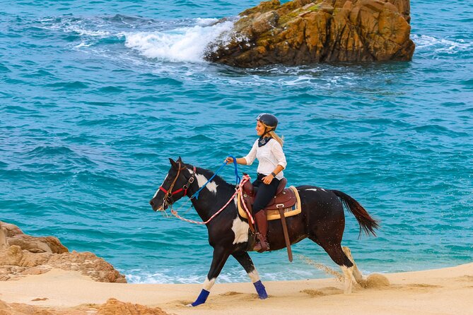 Horseback Riding Beach and Desert in Cabo - Desert Trails First: Rugged Terrain, Horses That Work, and a Gradual Build