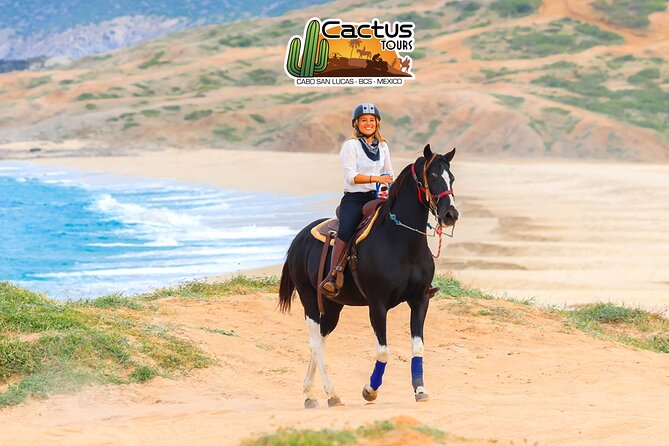 Horseback Riding Beach and Desert in Cabo - Price and Value: How to Judge the $85 Fee Like a Smart Traveler