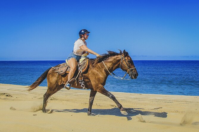 Horseback Riding Beach and Desert in Cabo - The Safety Briefing and Rider Level Reality Check