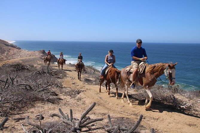 Horseback Riding Experience in Rancho San Cristobal - Key things to know before you saddle up
