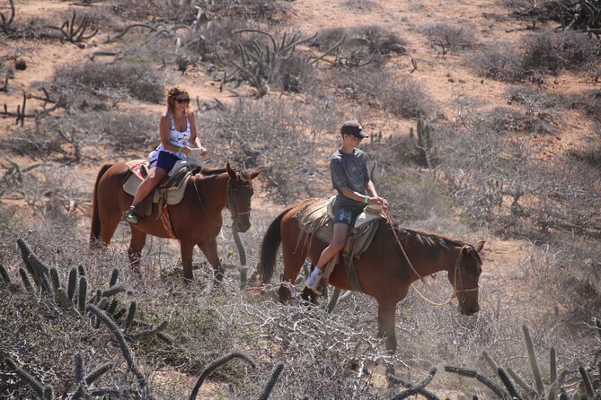 Horseback Riding Experience in Rancho San Cristobal - Practical tips I’d use to make this ride smoother