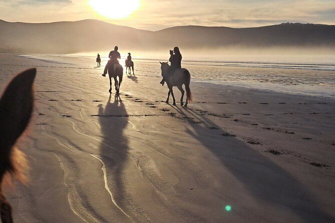 Horseback Riding on the Beach from Ensenada - The Ride Itself: How the Beach Ride Works