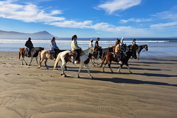 Horseback Riding on the Beach from Ensenada - Desert Trails and Coastal Views, Without the Hassle