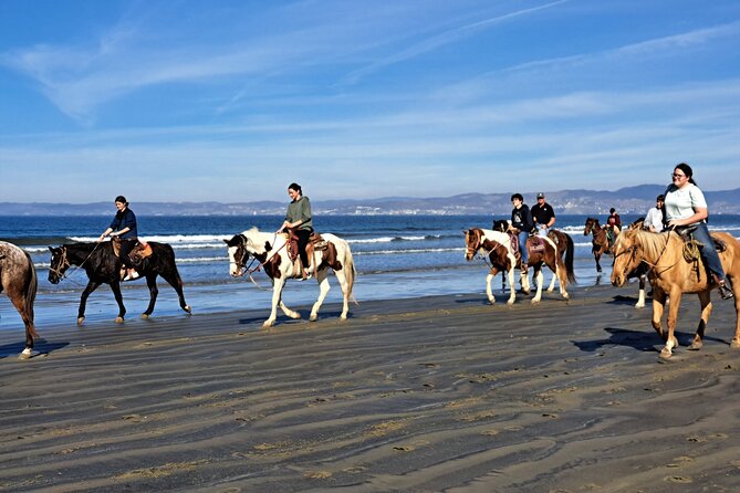 Horseback Riding on the Beach from Ensenada - Guides, Group Size, and the Small-Group Friend Factor