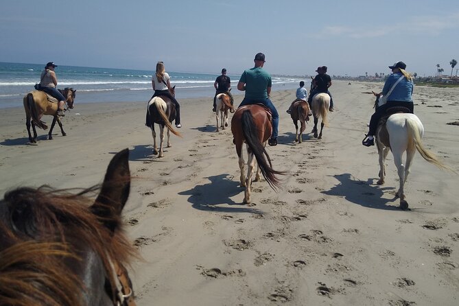 Horseback Riding on the Beach from Ensenada - Photos, Video, and Keepsakes You Can Actually Use