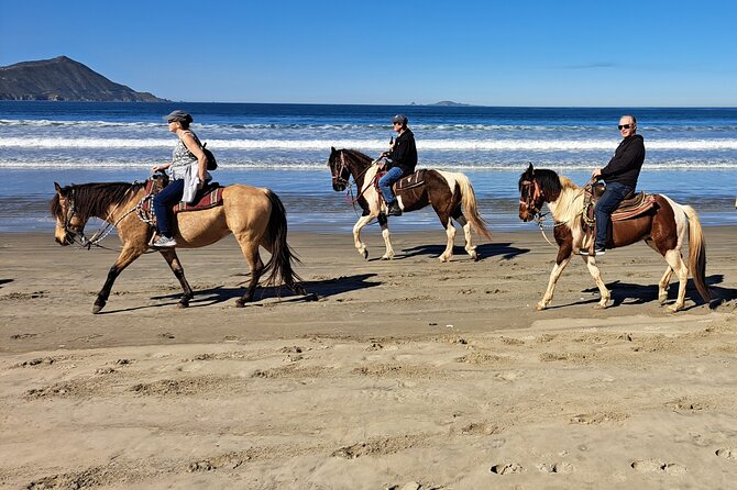 Horseback Riding on the Beach from Ensenada - Price, What’s Included, and How to Think About Value