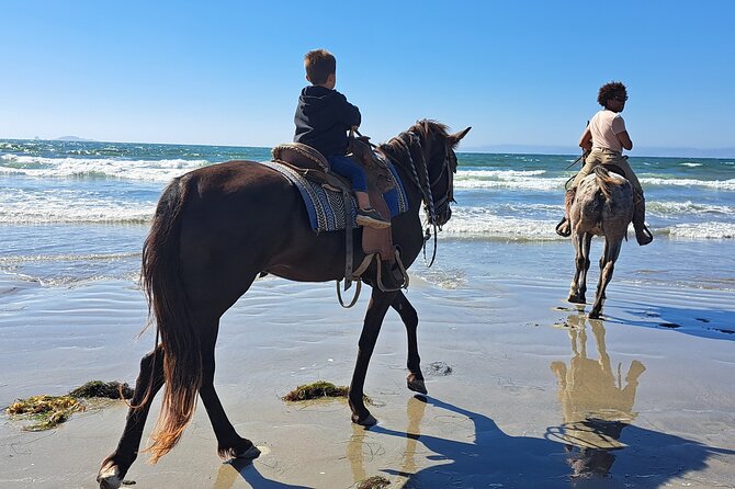 Horseback Riding on the Beach from Ensenada - Meeting at the Port and Finding the Right Starting Point