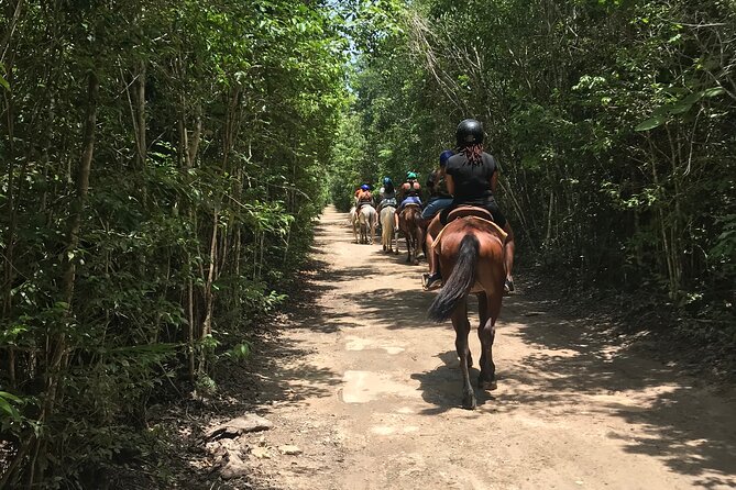 Horseback Riding plus ATV, Cenote, Ziplines, and Lunch - Lunch and purified water: plan for “included” but not a feast