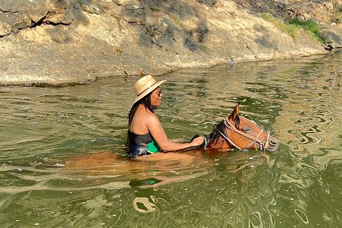Horseback Riding & Swim: Tequila Tasting, BBQ & Margaritas - Tour Logistics: Time on the Bus, Hot Weather, and the Big Ride Day Reality