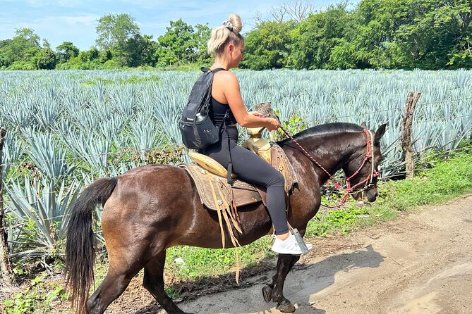 Horseback Riding & Swim: Tequila Tasting, BBQ & Margaritas - Final Thoughts: Should You Book This Horseback Riding and Tequila Day?