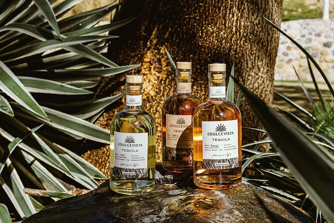Horseback Riding & Swim: Tequila Tasting, BBQ & Margaritas - Traditional Mexican Lunch and Unlimited Margaritas at the BBQ Spot