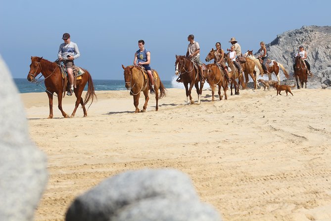 Horseback Riding Tour in Cabo San Lucas - Key Things I’d Circle Before You Go