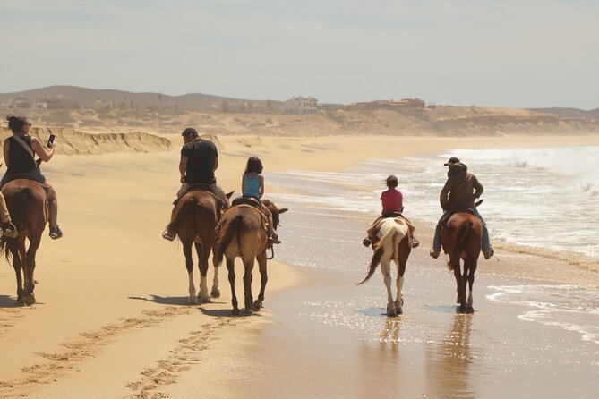 Horseback Riding Tour in Cabo San Lucas - Desert Trails, 20-Foot Cacti, and the Pacific Coast Canter