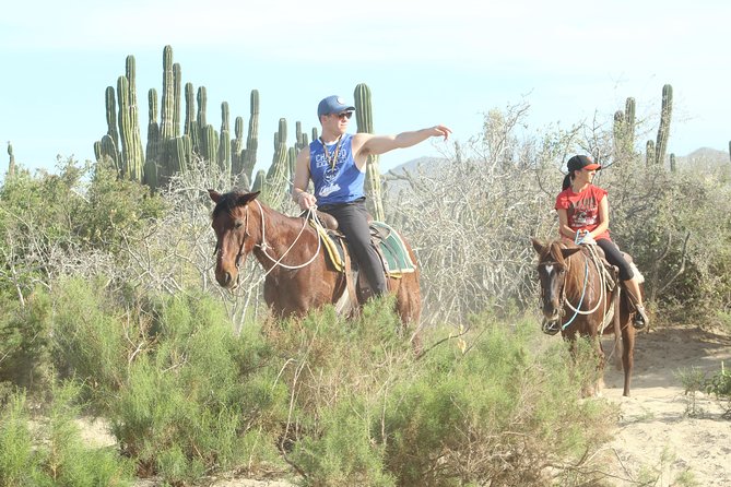 Horseback Riding Tour in Cabo San Lucas - Lookouts, ATV Photo Stops, and What You Should Expect from Pictures