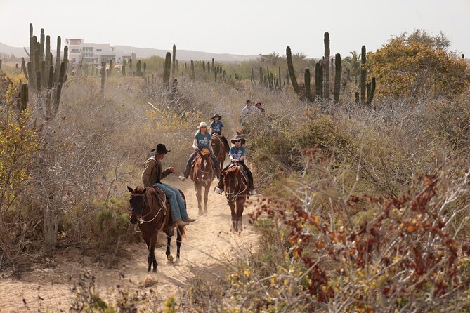 Horseback Riding Tour in Cabo San Lucas - Cost and Value Breakdown for a Cabo Horseback Tour