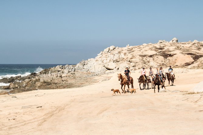 Horseback Riding Tour in Cabo San Lucas - Should You Book Rancho Carisuva in Cabo?