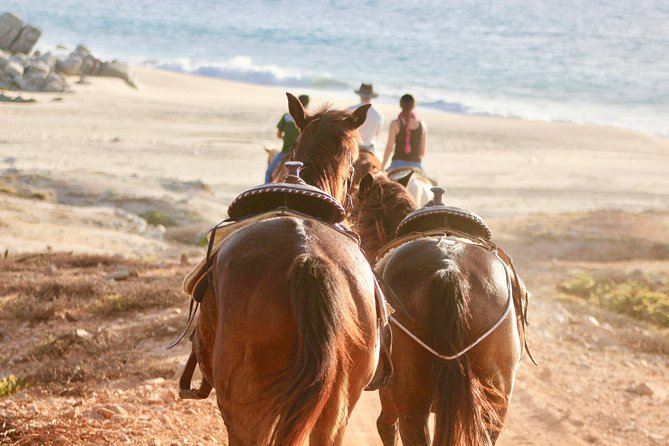Horseback Riding Tour in Cabo San Lucas - Hotel Pickup to Saddle Time: How the 3.5 Hours Typically Unfold