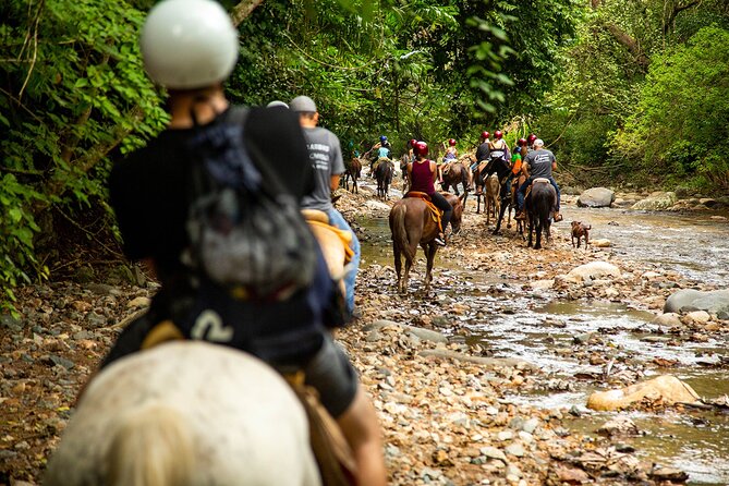Horseback Riding Tour in Sierra Madre from Puerto Vallarta - Who should book this horseback riding tour in Sierra Madre