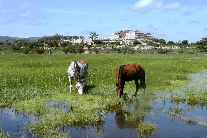Immersive Cañada de La Virgen Pyramid Tour - Guide quality and the archaeologist-led promise