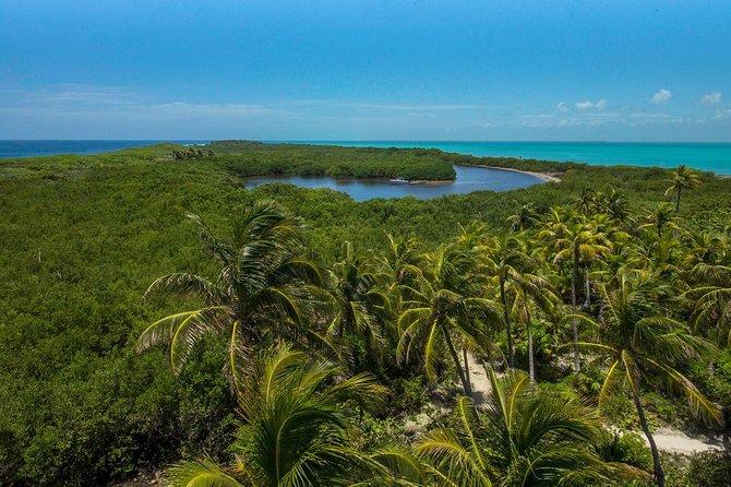 Isla Contoy and Isla Mujeres Tour with Snorkeling from Cancun - Isla Mujeres shopping time: make it count, keep expectations realistic