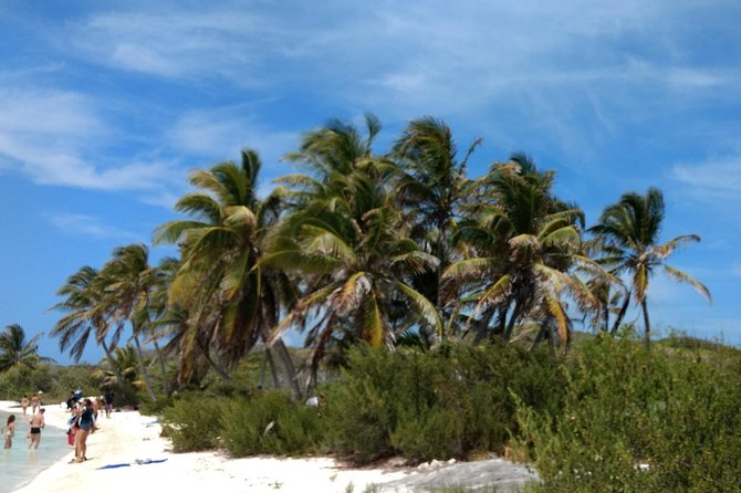 Isla Contoy and Isla Mujeres Tour with Snorkeling from Cancun - Guides and crew: the difference between a good day and a great day