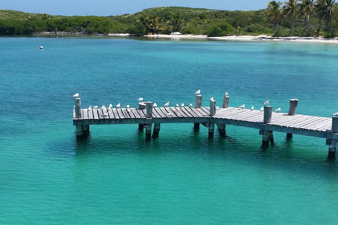 Isla Contoy and Isla Mujeres Tour with Snorkeling from Cancun - High-speed catamaran reality check (especially with rough water)