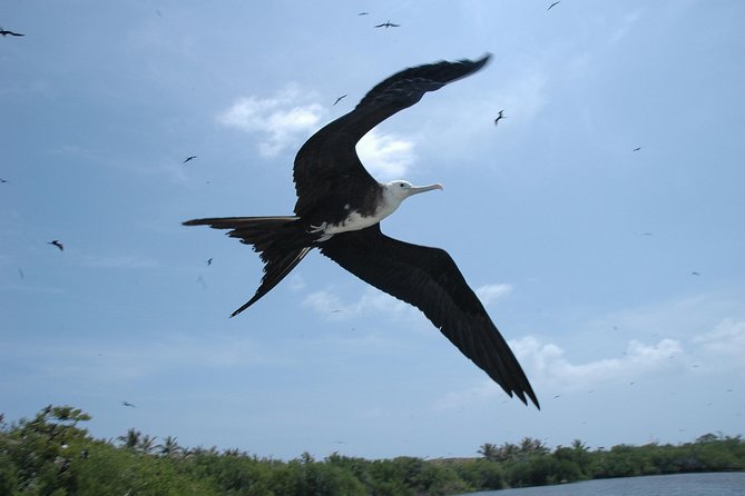 Isla Contoy Eco Adventure - Snorkeling at Ixlache Reef: the highlight, with strict structure