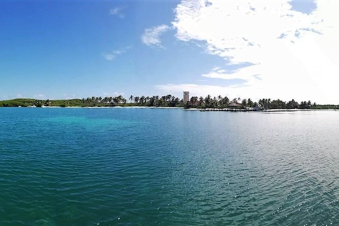 Isla Contoy Eco Adventure - Isla Contoy on the ground: wildlife time, limited roaming, guided walking
