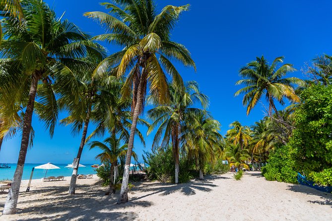 Isla Mujeres Catamaran, Open Bar & Optional Buffet and pick up - Snorkeling at Arrecife El Meco: the best part, with a weather clause