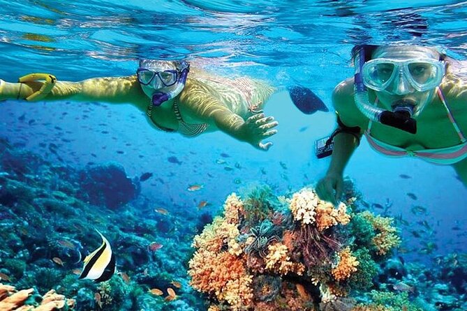 Isla Mujeres Catamaran, Open Bar & Optional Buffet and pick up - Tips, timing, and the stuff nobody loves to think about
