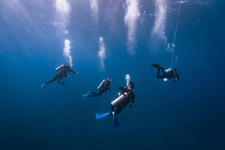 Isla Mujeres: Catamaran Ride with Open Bar, Snorkeling, and Lunch - Price and extras: what $56 really buys you