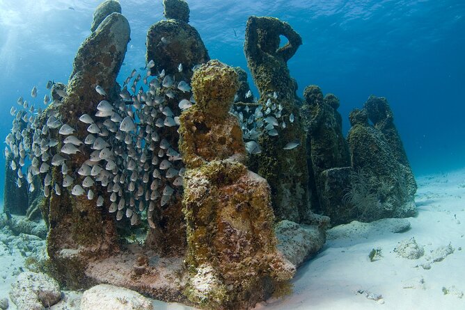Isla Mujeres Catamaran Tour with Snorkeling at MUSA, Buffet Lunch & Open Bar - One More Swim and the Open Bar on the Return Sail