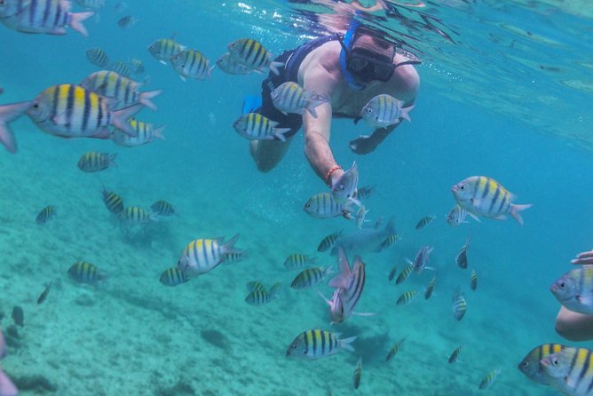 Isla Mujeres Luxury Sailing: Adults Only or Family Friendly - Who this tour is best for (and who should skip it)