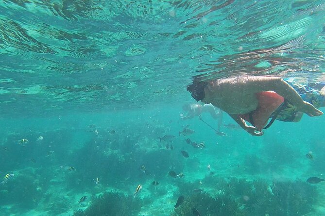 Isla Mujeres: Snorkeling Adventure at the Underwater Museum - Getting started at Señor Frog’s and how the tour runs