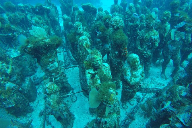 Isla Mujeres Snorkeling Tour Adventure - Gear, instruction, and the “am I really ready?” question