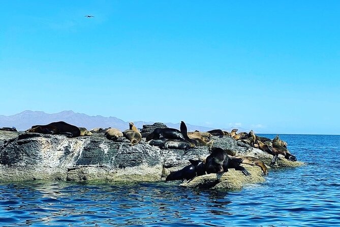 Island Tour with Snorkeling and Picnic - English guidance, group size, and what to do if communication is limited