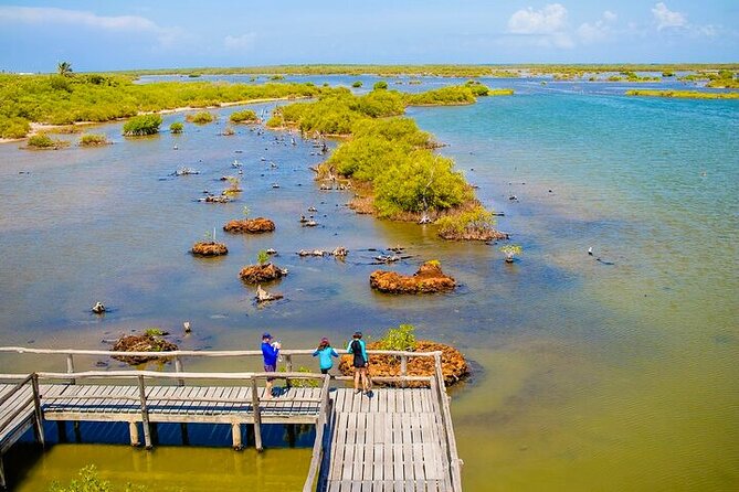 Jeep Safari All Inclusive Private Tour - Sabores Cozumel Mexico: Chocolate, Tortillas, and Tequila With a Sales Pitch Risk