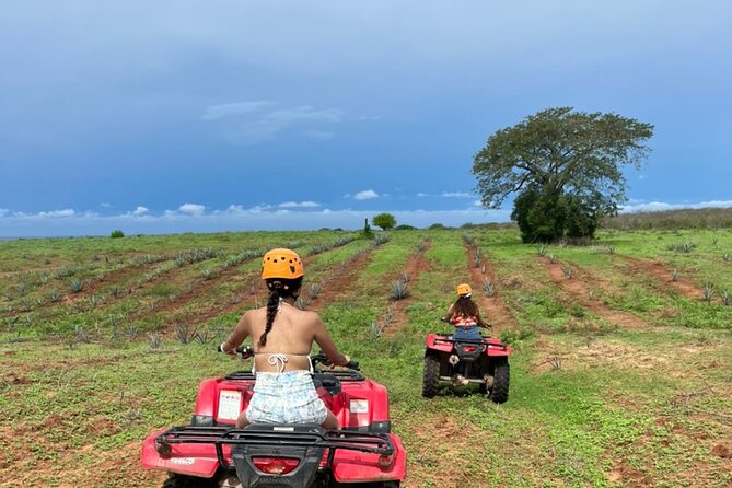 Jungle and beach ATV tour + lunch + tequila tasting - Tequila tasting and a real production look