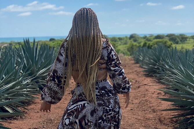 Jungle and beach ATV tour + lunch + tequila tasting - Who runs the day: ranch owners, guides, and real hospitality