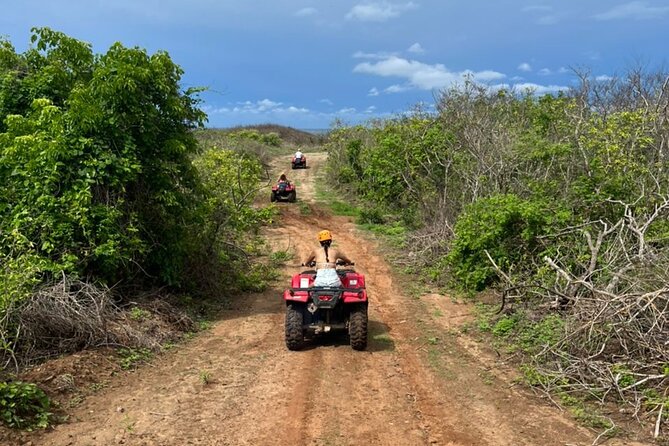 Jungle and beach ATV tour + lunch + tequila tasting - ATV basics: easy lesson, then real time on the trails
