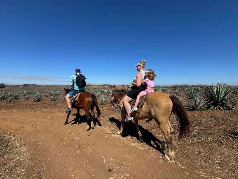Jungle and beach horseback ride + lunch + mezcal - Key highlights worth planning for