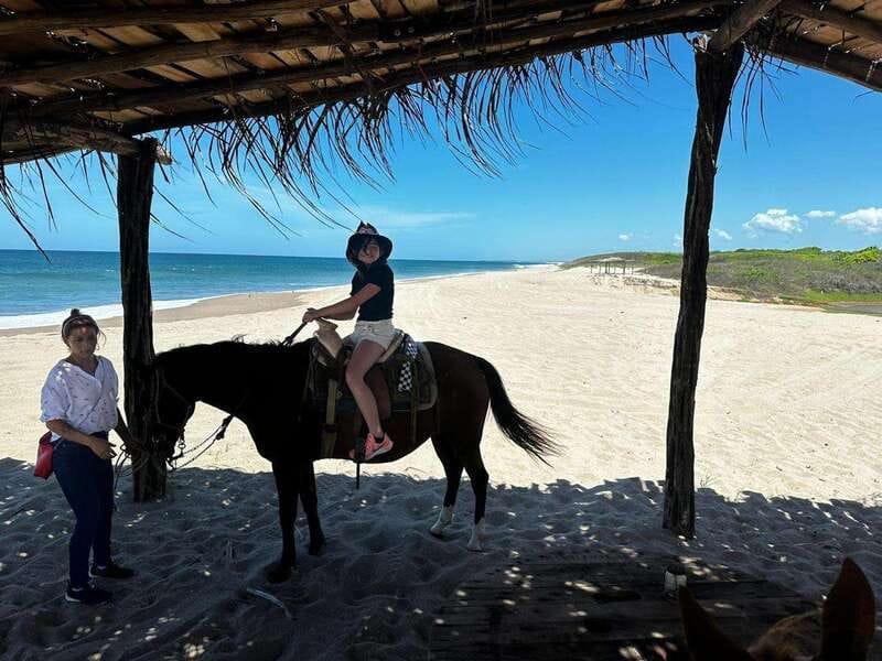 Jungle and beach horseback ride + lunch + mezcal - Should you book this jungle and beach horseback ride plus mezcal?