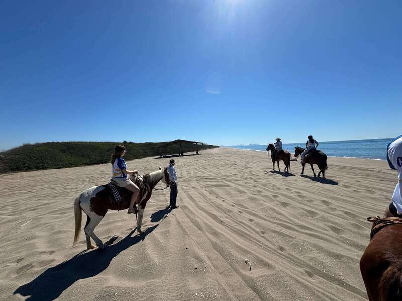 Jungle and beach horseback ride + lunch + mezcal - Jungle and beach horseback riding in Mazatlan, the route that makes it fun