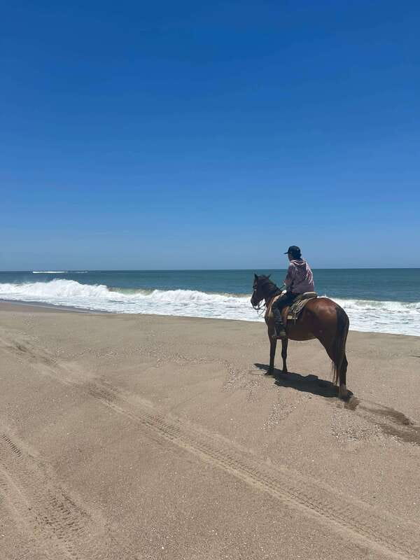 Jungle and beach horseback ride + lunch + mezcal - Who this tour is best for (and who might pass)