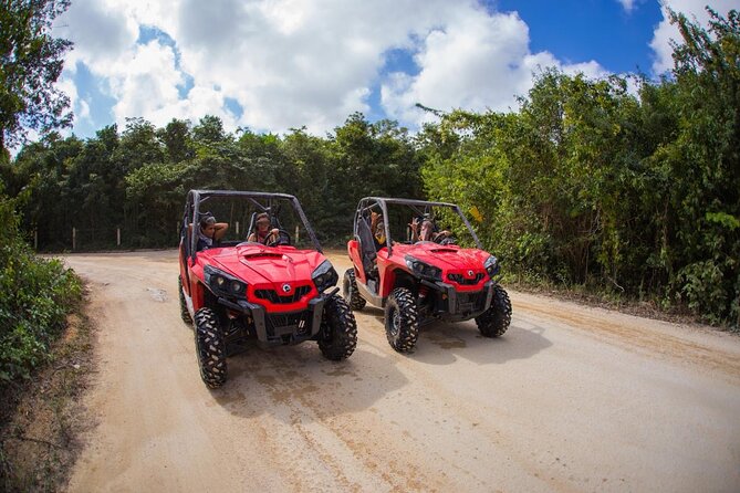 Jungle Buggy Tour from Playa del Carmen Including Cenote Swim - Driving a Can-Am 4x4 Into the Riviera Maya Jungle