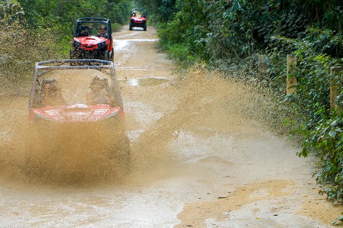 Jungle Buggy Tour from Playa del Carmen Including Cenote Swim - Price, Value, and What You Actually Get for $110.29