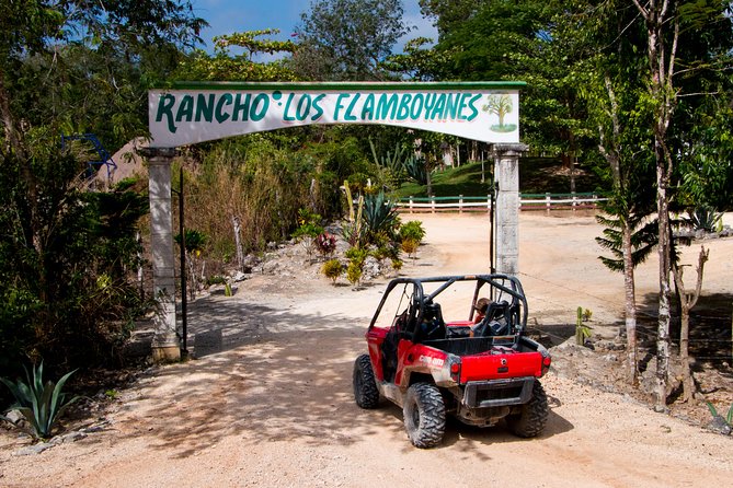 Jungle Buggy Tour from Playa del Carmen Including Cenote Swim - Safety Rules You Should Not Ignore