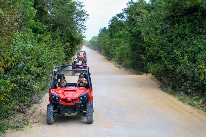 Jungle Buggy Tour from Playa del Carmen Including Cenote Swim - The Cenote Cave Swim Plus Snorkeling Break