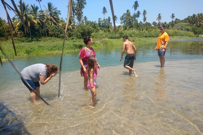 Jungle Coyuca Lagoon Boat Ride Experience & Baby Turtle Release - The Big Picture: Why Coyuca Lagoon Feels Different